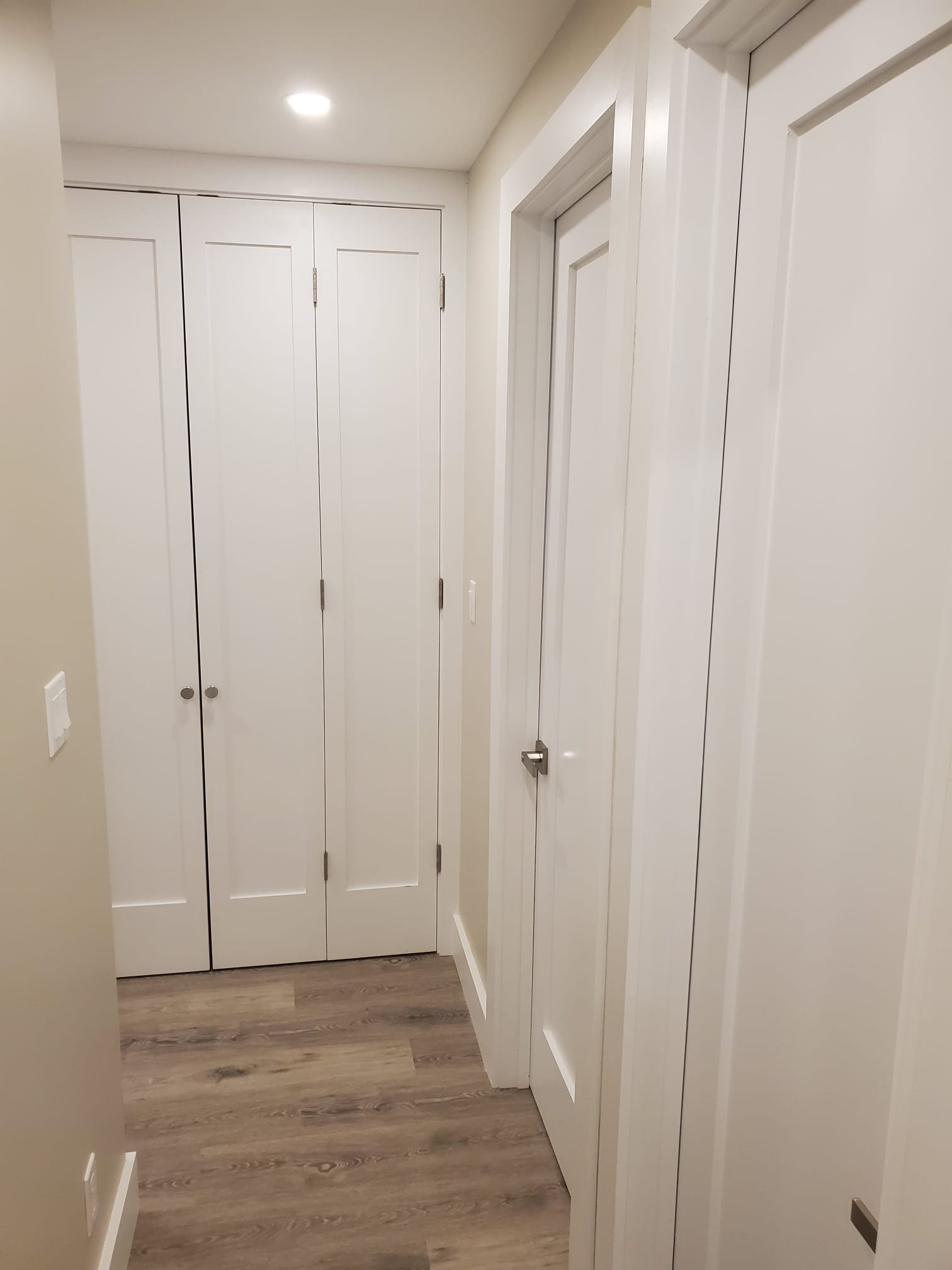 Custom chef's kitchen